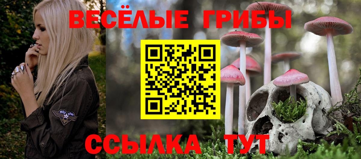 Галлюциногенные грибы Psilocybine cubensis Новочебоксарск